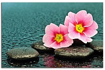 Obraz Zen Kvety zs29285